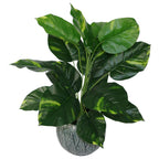 60cm Artificial Devil's Ivy (Scindapsus Aureus) Plant - Realistic Foliage, Ready-Potted