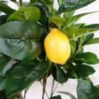150cm Artificial Lemon Tree for Home