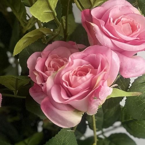 60cm Rose Bush Pink Silk Flowers and Leaves with Leaves Details