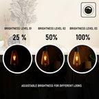 6 Pack E27 LED Edison Dimmable Vintage Amber Glass Warm white 2700K Light Bulb - 6W