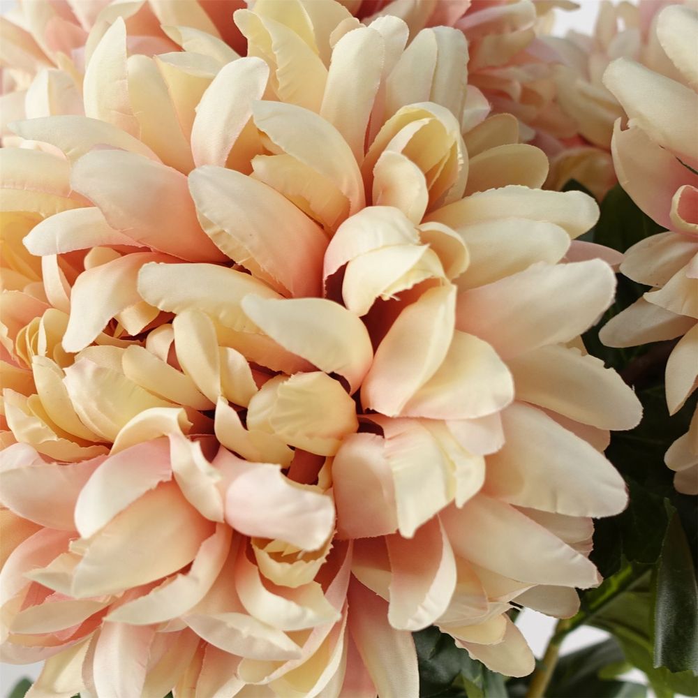 75cm Extra Large Chrysanthemum - Pink