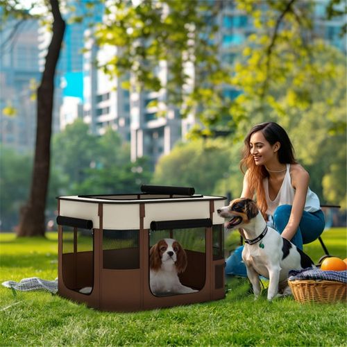 Pet Carrier with 40wcm Detail