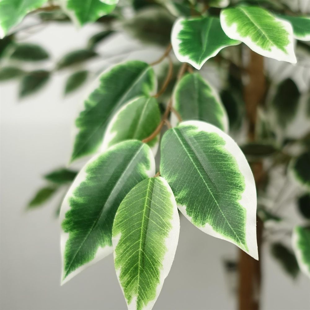 150cm Ficus Tree - 1008 Silk Leaves - Realistic & Maintenance-Free
