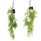 100cm Artificial Hanging Maidenhair Fern - Dark Green