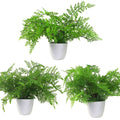 Wood Pack of 3 x 30cm Artificial Ferns - Southern Wood - Lady and Royal - Potted