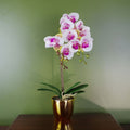 48cm Harlequin Orchid Artificial - Pink/Gold, Real Touch Leaves, Wired Stems