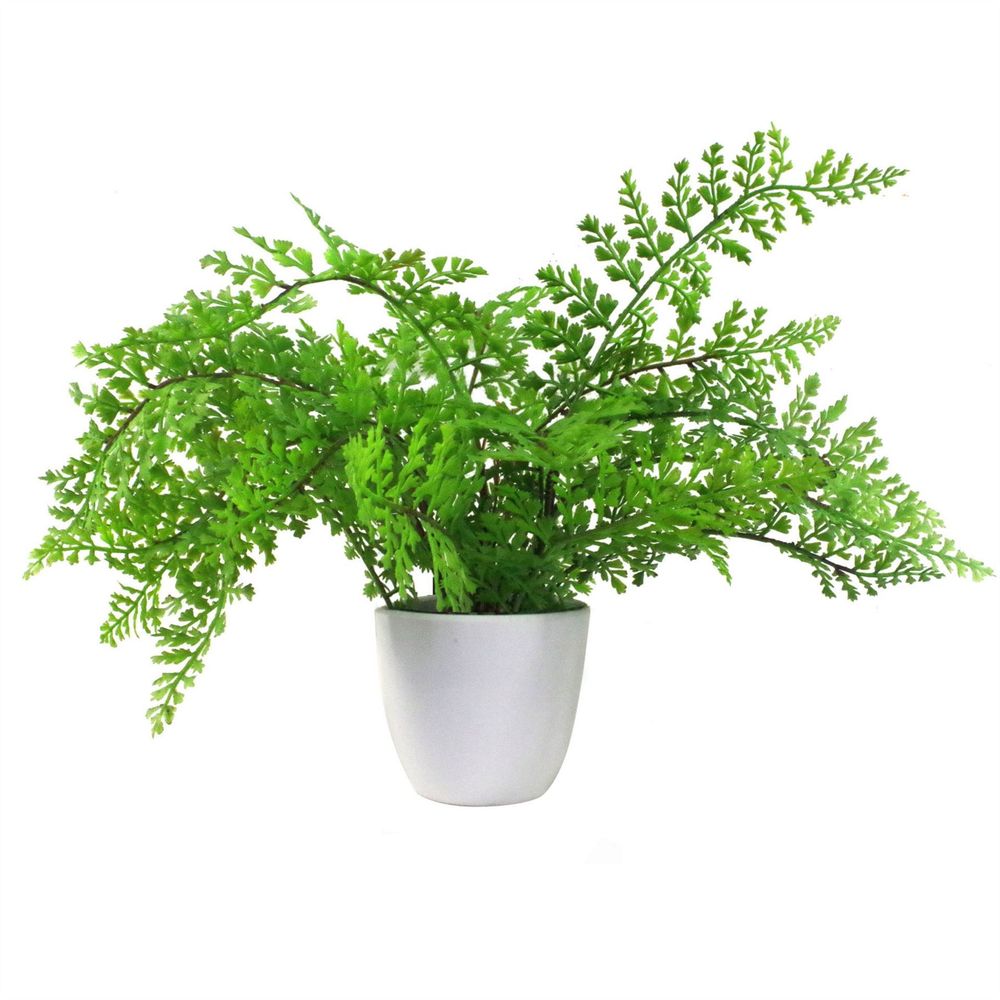 30cm Artificial Potted Royal Fern - Realistic & Indoor Plant