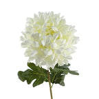 75cm Extra Large Chrysanthemum - White