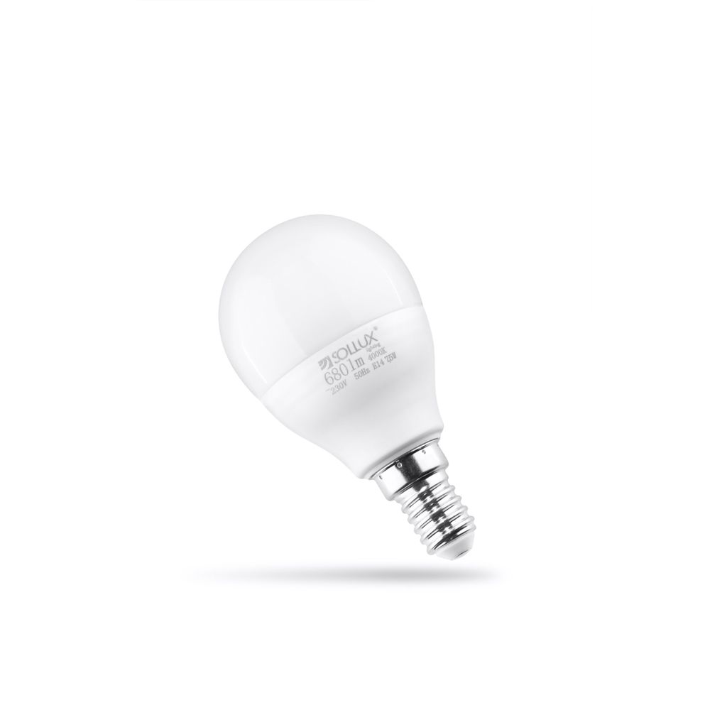 Brighten Up Your Space with Bulbs