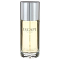 Spicy Eau de Toilette Spray 100ml Woody