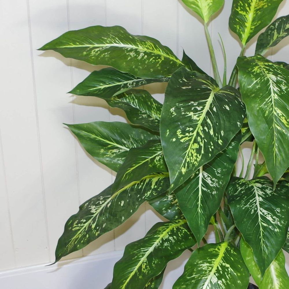 Lifelike 100cm Large Fox's Aglaonema Tree with Metal Planter - Artificial Plant