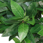 4ft Artificial Topiary Bay Trees - Extra Large Pair for Stunning Entrance - No Maintenance
