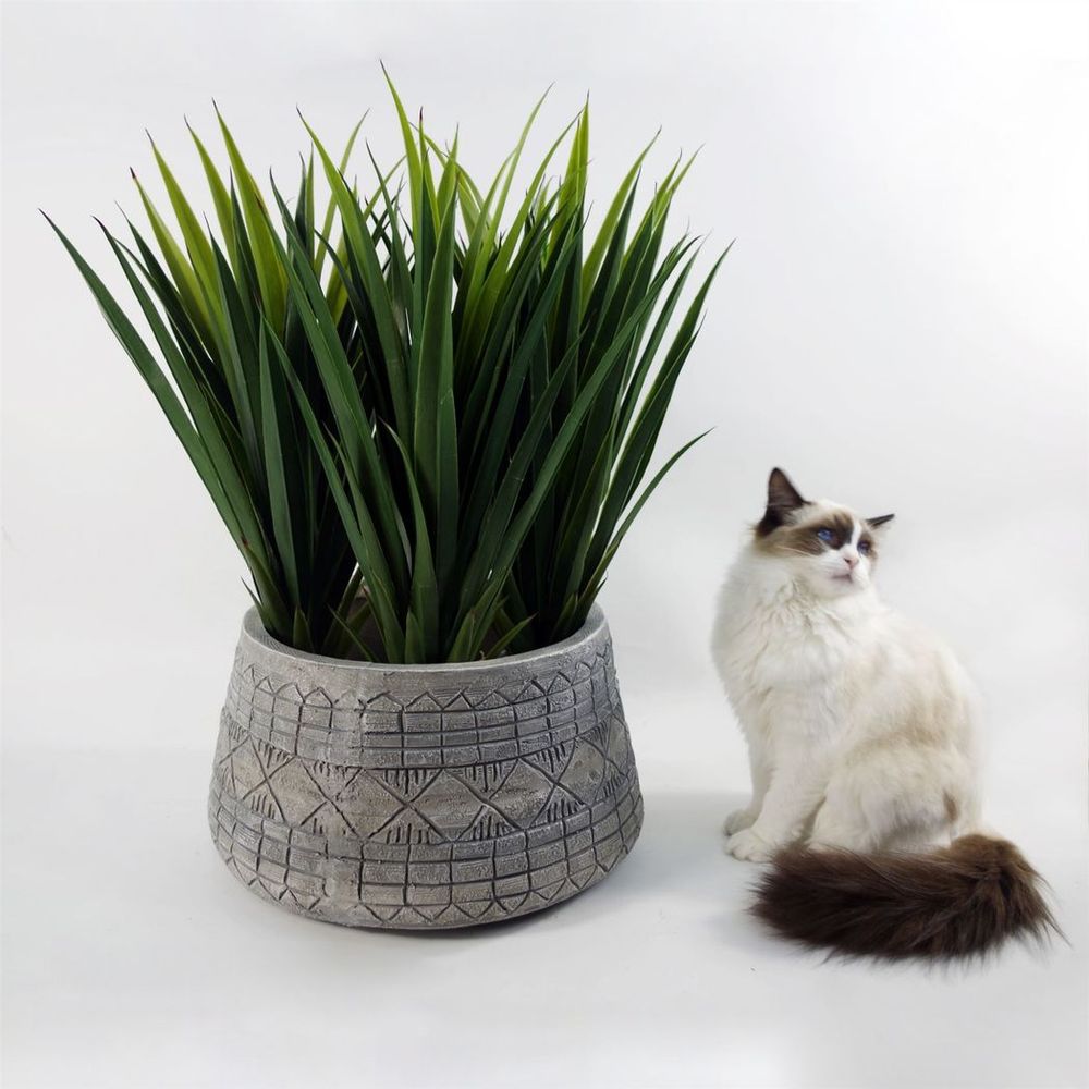 22cm x 37cm Large Grey Gliese Embossed Planter in Grey