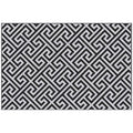 121 x 182 cm (4x6ft) Outdoor Rug Reversible Mat Plastic Straw Rug Portable RV Camping Mat for Garden Deck Picnic Indoor, Black & White