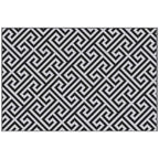 121 x 182 cm (4x6ft) Outdoor Rug Reversible Mat Plastic Straw Rug Portable RV Camping Mat for Garden Deck Picnic Indoor, Black & White