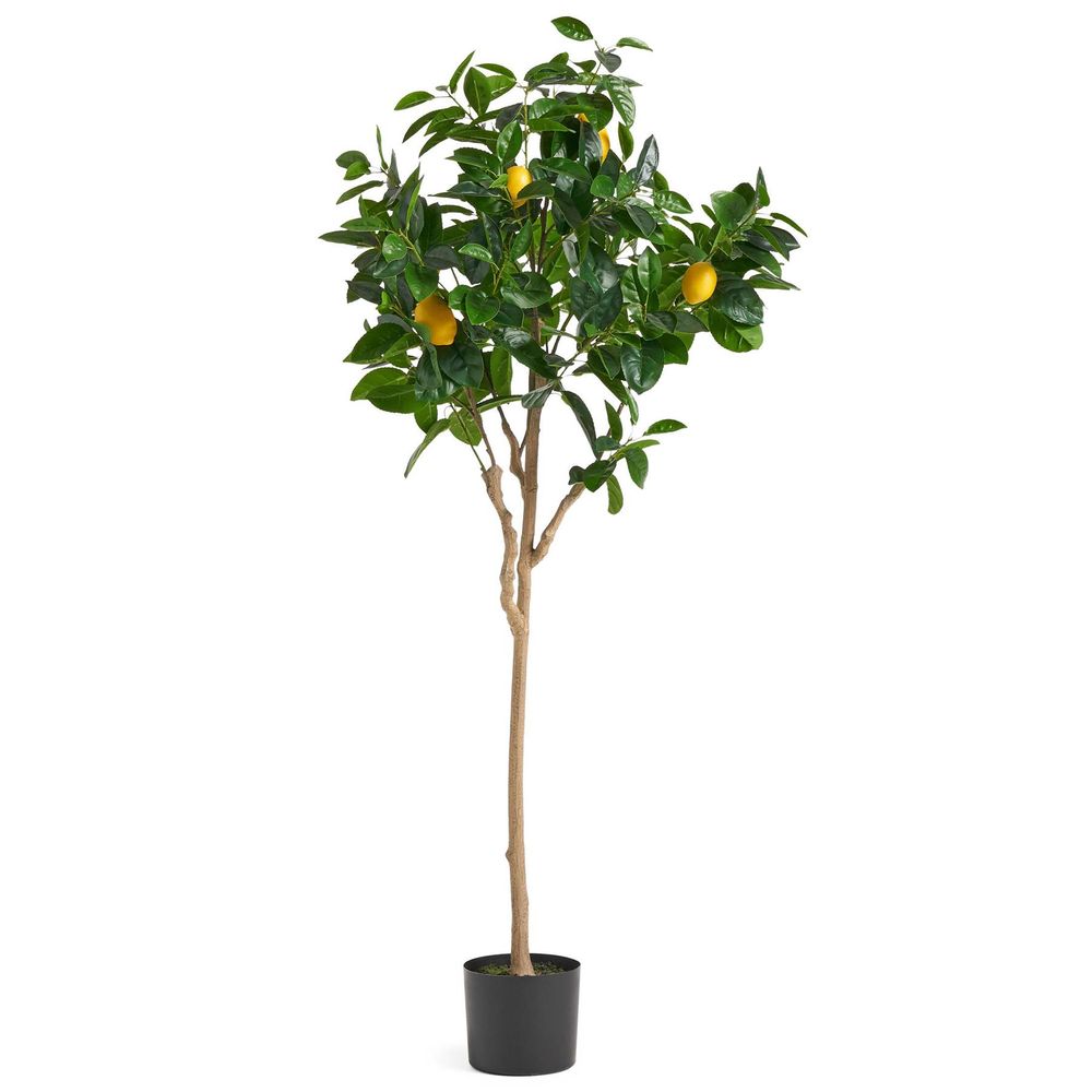 150cm Artificial Lemon Tree