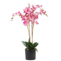 60cm Realistic Artificial Orchid Flower Display in Pot