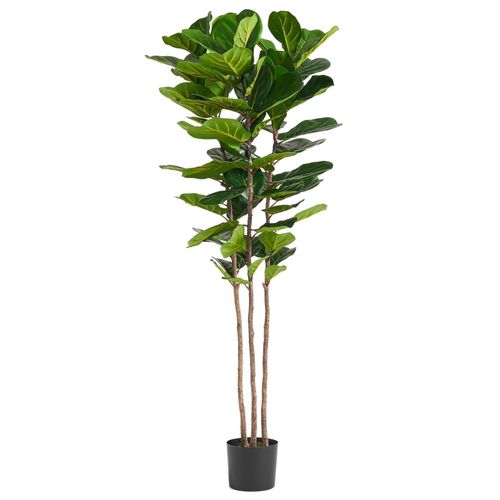 Leaf Fig Tree 180cm Artificial Fiddle