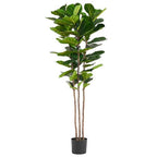 Leaf Fig Tree 180cm Artificial Fiddle