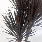 155cm UV Resistant Artificial XL Triple Yukka Tree Plant - Spiky Triple Dark for Indoor/Outdoor - Realistic & Low Maintenance