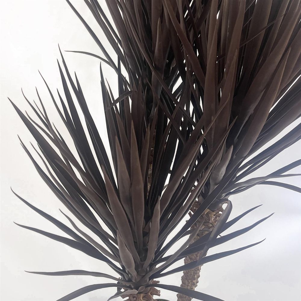 155cm UV Resistant Artificial XL Triple Yukka Tree Plant - Spiky Triple Dark for Indoor/Outdoor - Realistic & Low Maintenance