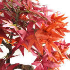 50cm Artificial Red Maple Bonsai Tree