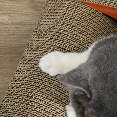 in 1 Cat Scratching Board with Catnip, Car-shaped Cat Scratch Bed - 2