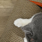 in 1 Cat Scratching Board with Catnip, Car-shaped Cat Scratch Bed - 2