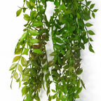 100cm Hanging String of Pearls Fern Plant