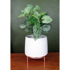 Elegant White Ceramic Planter w/ Metal Stand - Stylish Design!