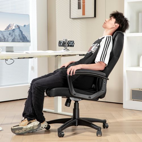 Executive Office Chair High Back Computer Chair with Armrests
