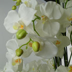 150cm Giant White Orchid Plant - Artificial - 189 Real Touch Flowers