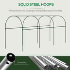 Tomato Greenhouse with Top Tap, Pointed Bottom and Guy Ropes, Clear