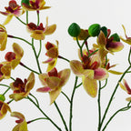 Large Pink Yellow Artificial Orchid - 43cm - Ceramic Planter