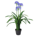 Artificial Agapanthus - 90cm Blue Flower with Pot