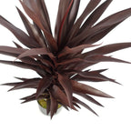85cm Dark Red Yucca Plant - Artificial