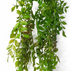 100cm Hanging String of Pearls Fern Plant Dark Green