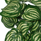 40cm Artificial Watermelon Style Leaves Plant - Realistic & Ready to Display