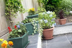 Whitefurze 38cm Venetian Planter - Terracotta