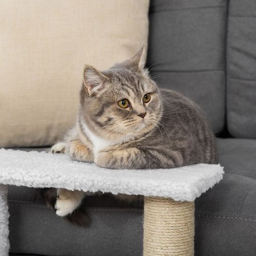 Pet Stair with 4-step Climb Ladder, Scratching Posts