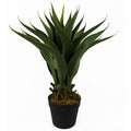 55cm Artificial Tropical Yucca Plant