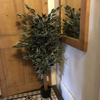 130cm Tall Variegated White and Green Bushy Ficus Tree