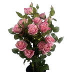 60cm Rose Bush Pink Silk Flowers and Leaves