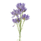 Pack of 6 x 60cm Purple Starflower Stems - 30 Blooms