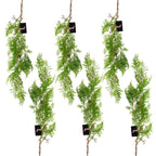 100cm Dark Green Artificial Hanging Fern - Pack of 6