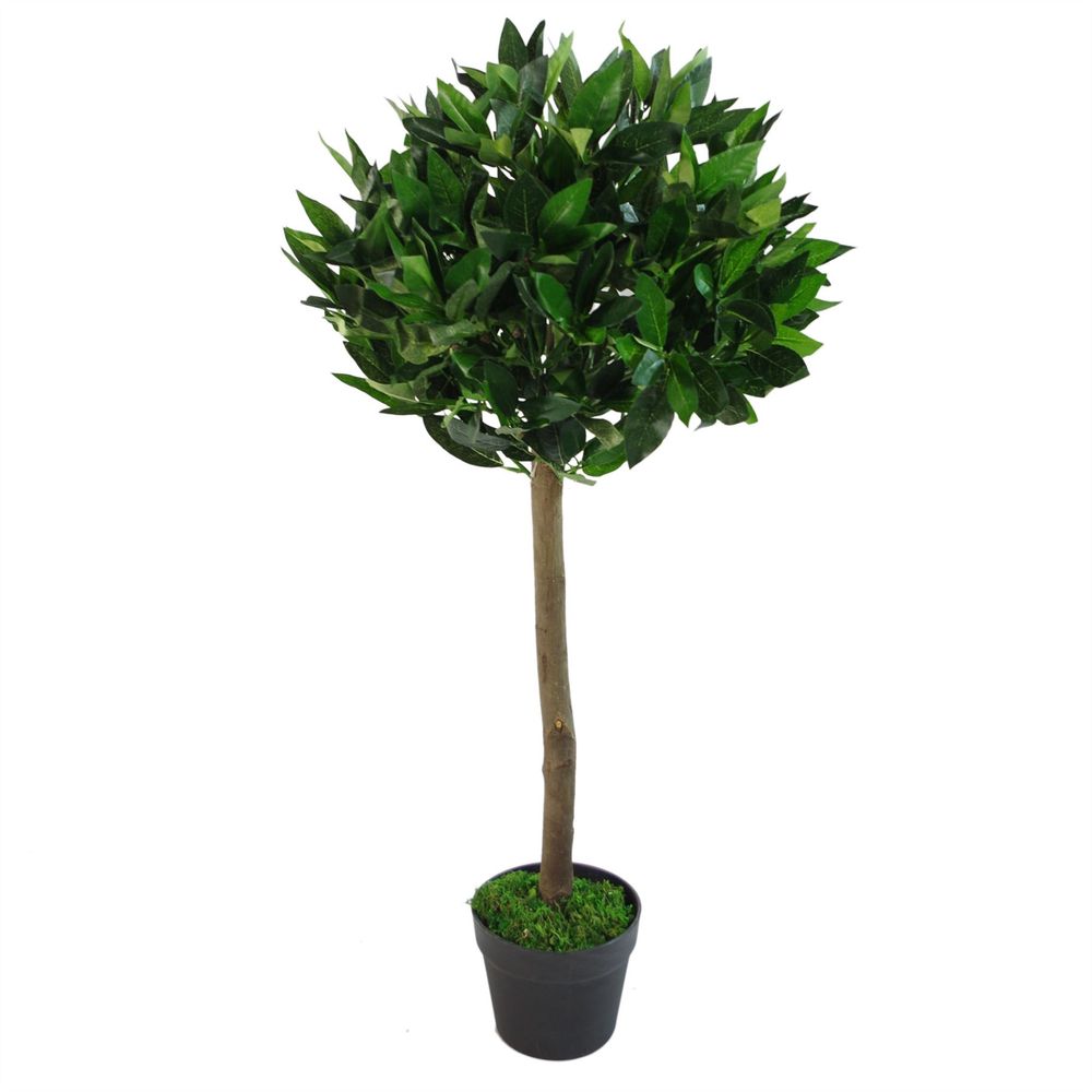 Pair of 90cm (3ft) Plain Stem Artificial Topiary Bay Laurel Ball Trees with Bushes Detail