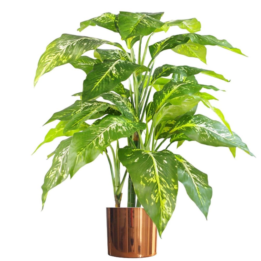 Lifelike 100cm Large Fox's Aglaonema Tree with Metal Planter - Artificial Plant