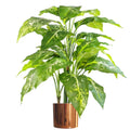 Lifelike 100cm Large Fox's Aglaonema Tree with Metal Planter - Artificial Plant