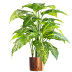 Lifelike 100cm Large Fox's Aglaonema Tree with Metal Planter - Artificial Plant