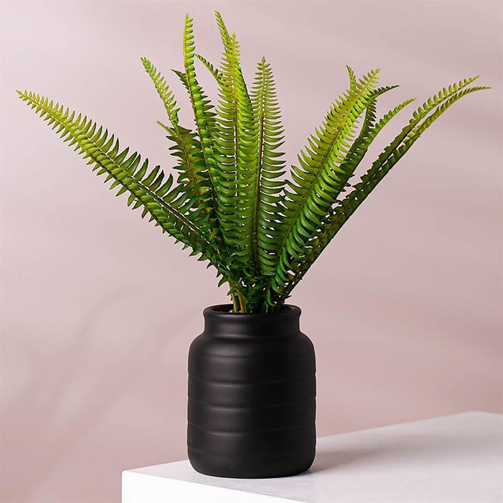Artificial Plants Ceramic Planters Displays Home Decor Limited Office Desk 14cm Black
